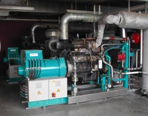 biogas cogeneration engine